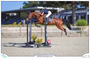 Cheval de sport amateur 