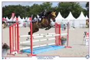 Yegua Poni de Silla Alemán, Deutsches Reitpony En venta 2015 Bayo moreno