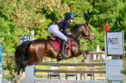 Yegua Poni de Silla Alemán, Deutsches Reitpony En venta 2015 Bayo moreno