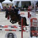 Yegua Poni de Silla Alemán, Deutsches Reitpony En venta 2015 Bayo moreno