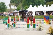 Yegua Poni de Silla Alemán, Deutsches Reitpony En venta 2015 Bayo moreno