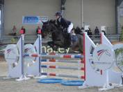 Yegua Poni de Silla Alemán, Deutsches Reitpony En venta 2015 Bayo moreno