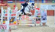 PONY IRLANDESE, anno 2011, 148cm