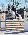 PONY IRLANDESE, anno 2011, 148cm