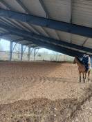 Pension Chevaux - Les Ecuries de la Gartempe (87120)