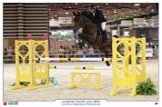Cheval de sport
