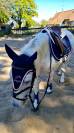 Demi pension poney