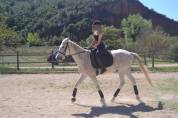 Buen caballo para Buen jinete