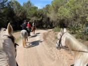 Buen caballo para Buen jinete