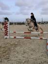 Buen caballo para Buen jinete