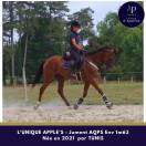 Jeune AQPS, excellent mental