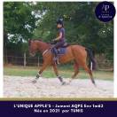 Jeune AQPS, excellent mental