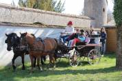 Attacchi - Marathon ricreazione   