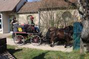 Attacchi - Marathon ricreazione   