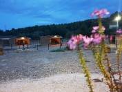 RECHERCHE APPRENTI PALEFRENIER POUR FORMATION CAP