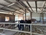 ECURIE DE PROPRIETAIRES EN ACTIVITE SUR 10 HA 