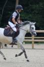 A vendre Ponette 6ans Welsh Part-bred