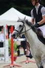 A vendre Ponette 6ans Welsh Part-bred