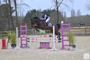Cheval de CSO 