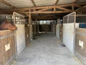 Centro ecuestre En venta Ile y Vilaine