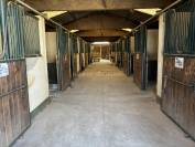 Centro ecuestre En venta Ile y Vilaine
