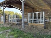 Centro ecuestre En venta Ile y Vilaine
