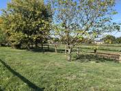 Centro ecuestre En venta Ile y Vilaine