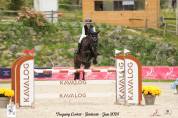 Caballo castrado Silla Francés En venta 2017 Negro por BALOU DU ROUET