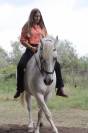 CHEVAL PP CAMARGUE À VENDRE