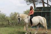 CHEVAL PP CAMARGUE À VENDRE
