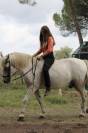 CHEVAL PP CAMARGUE À VENDRE