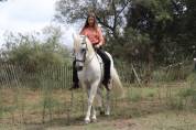 CHEVAL PP CAMARGUE À VENDRE