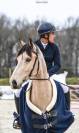Poney( Hors cote) 