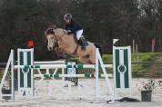 Poney( Hors cote) 