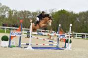 Poney( Hors cote) 