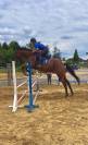 recherche demi pension