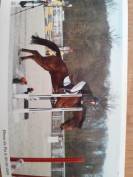 Trotteur 6 ans pour loisirs