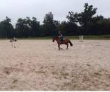 Trotteur 6 ans pour loisirs