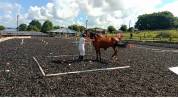Trotteur 6 ans pour loisirs