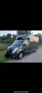 Camion 2 chevaux STX