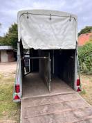 Van Henra 2 chevaux