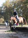 Cheval pour loisir