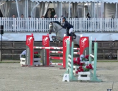 Jument de sport de 5ans