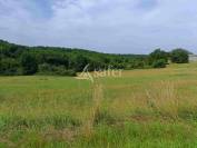 Exploitation bio en bovins lait sur 54ha, proche Lalinde