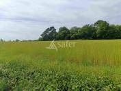 Exploitation bio en bovins lait sur 54ha, proche Lalinde
