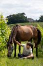 Poney taille D pour loisir et sport