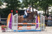 Poney taille D pour loisir et sport