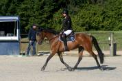 Jument sf de 5 ans 