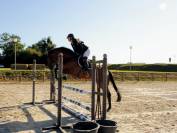 Jument sf de 5 ans 