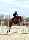 Jument sf de 5 ans 
